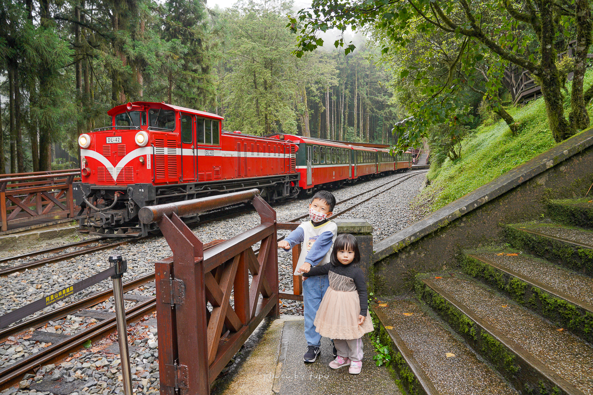林業鐵路-沿線各站周邊旅遊-神木車站