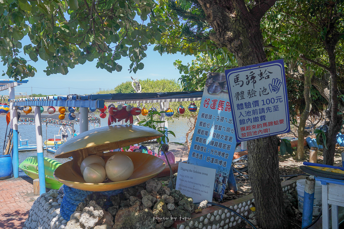 雲林景點》馬蹄蛤主題館，全台最大蛤玩水秘境，一百元玩整天、划船摸蛤盪鞦韆、菜單價位
