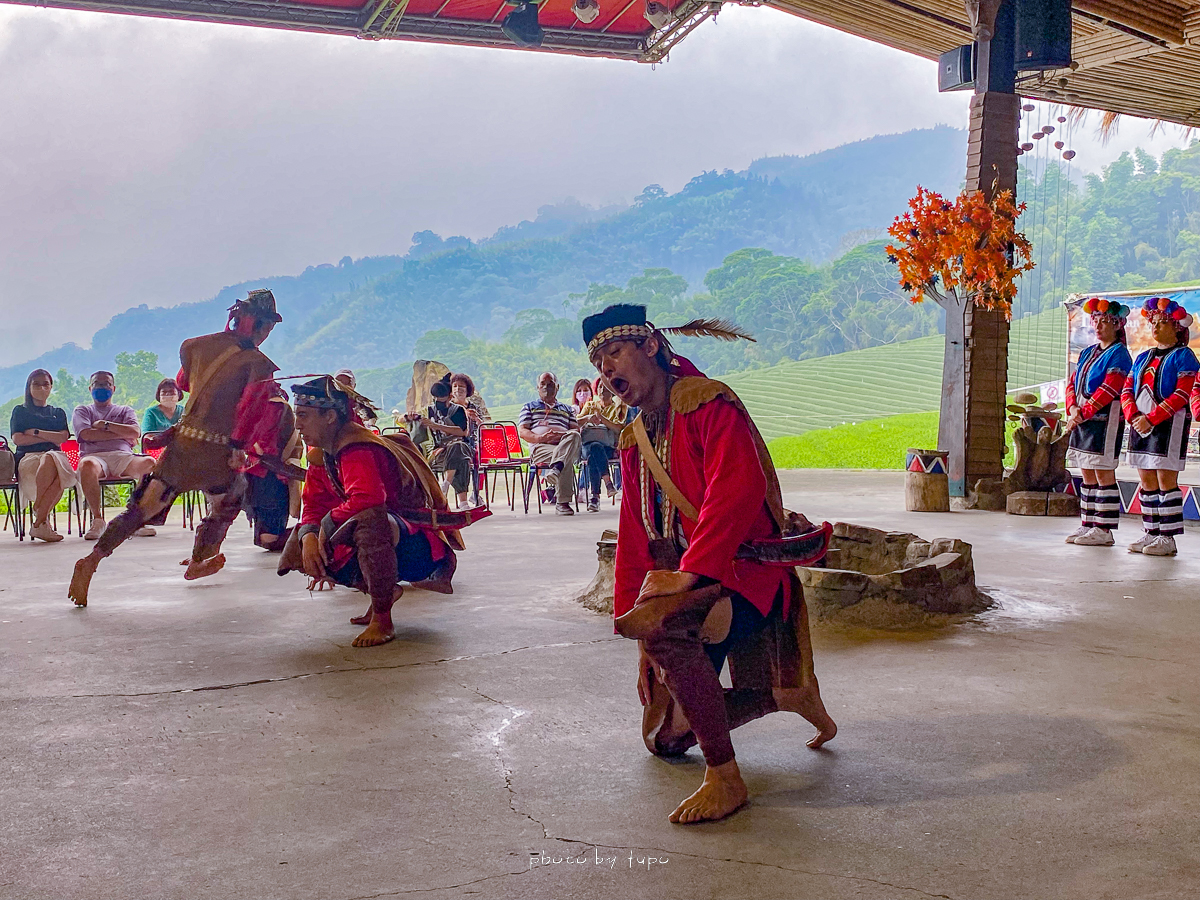 阿里山景點》優遊吧斯鄒族文化部落，海拔1300公尺的絕美茶園咖啡廳、表演時間