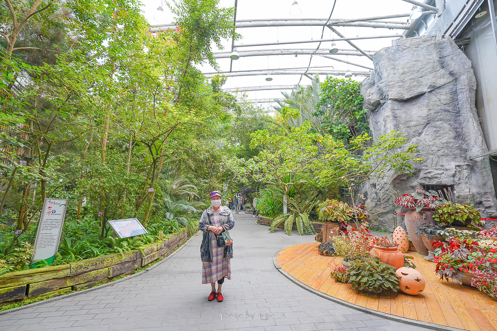 台北室內景點》台北典藏植物園，熱帶仙人掌到高山植物園都有，免門票開放參觀