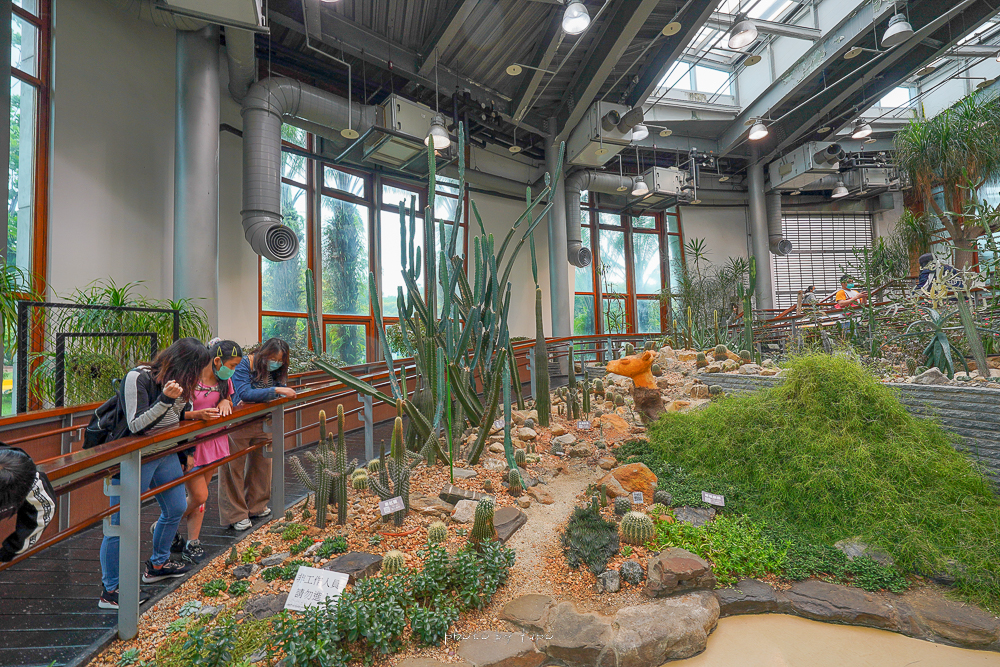 台北室內景點》台北典藏植物園，熱帶仙人掌到高山植物園都有，免門票開放參觀