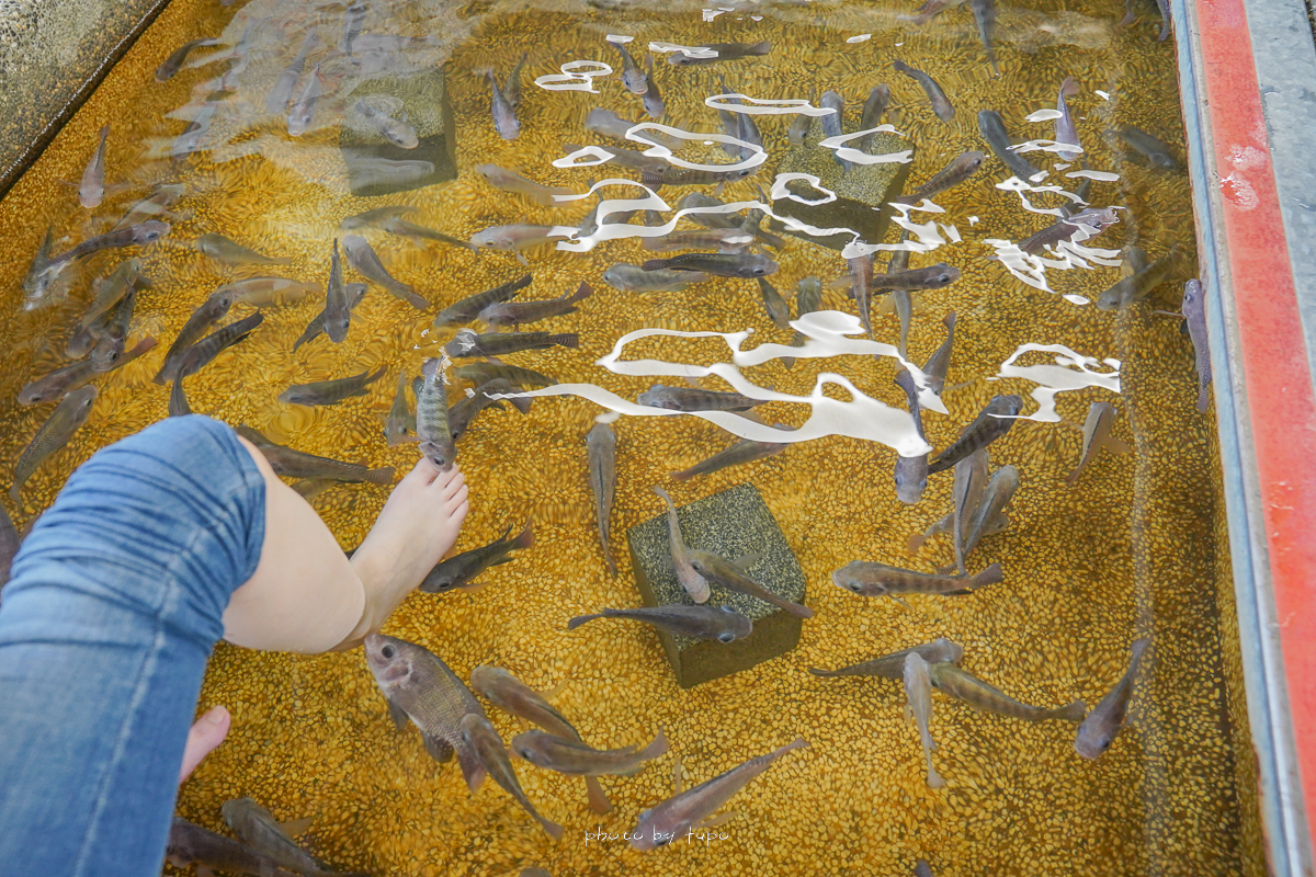 宜蘭礁溪泡腳景點》重口味溫泉魚，假日平日都不限時只要80元，暢玩12種泡腳玩法