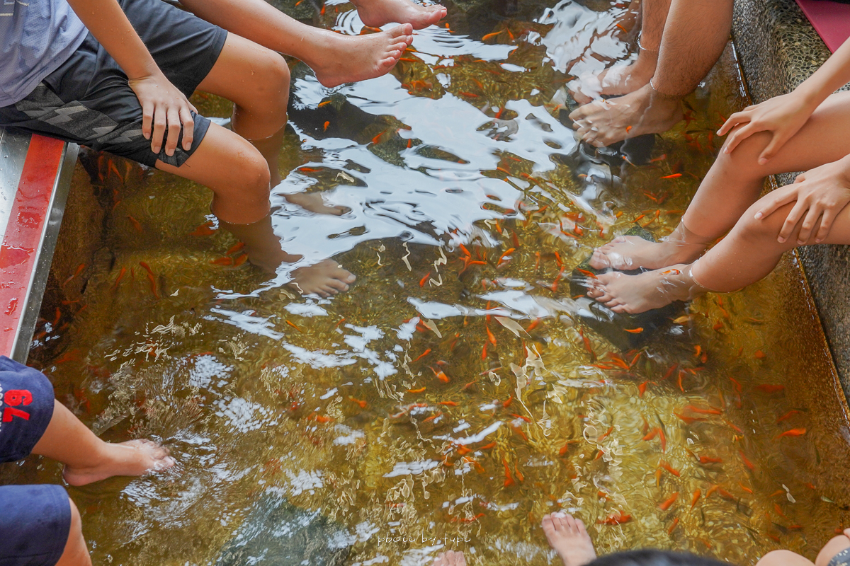 宜蘭礁溪泡腳景點》重口味溫泉魚，假日平日都不限時只要80元，暢玩12種泡腳玩法