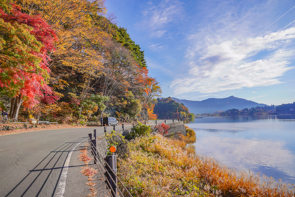 河口湖景點》留守岩，不用爬樓梯就可以拍到富士山框景，楓葉季必訪