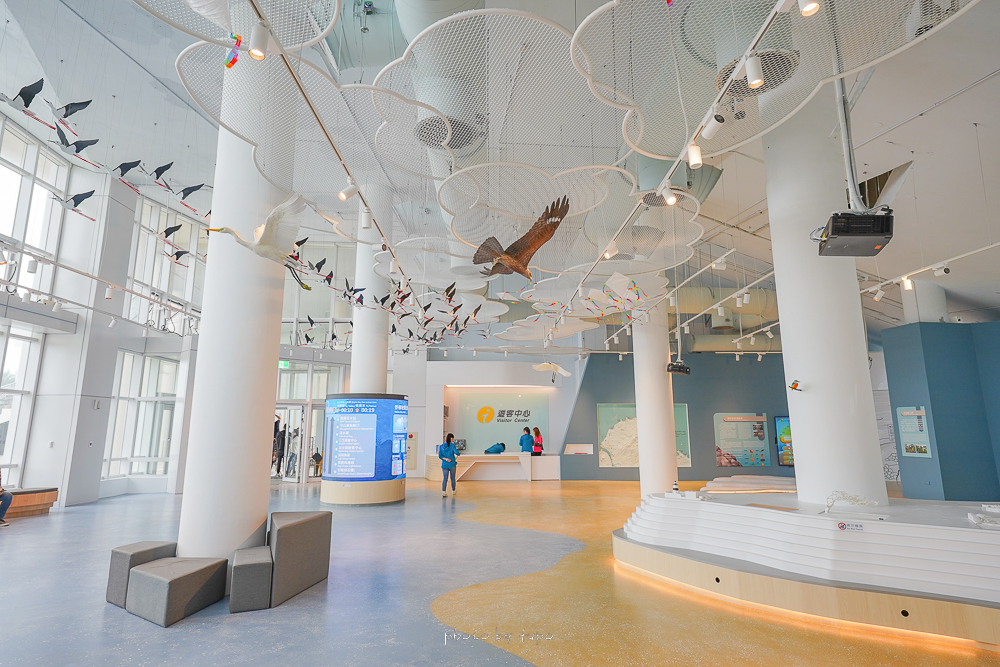 新北景點》白沙灣遊客中心全新改版2.0，北海岸最美遊客中心、親子互動設施、9K環景劇場