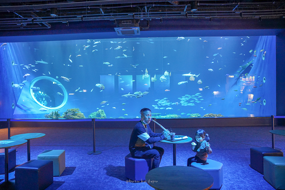 沖繩最新水族館》DMM Kariyushi水族館,摸魚看魚,可愛小動物園,大眾運輸,門票票價總整理