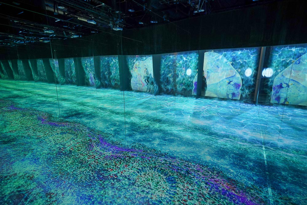 台北最新展覽》光之影海洋展NAKED OCEAN IN TAIPEI，360度沈浸式光影海洋世界，和小白鯨共舞