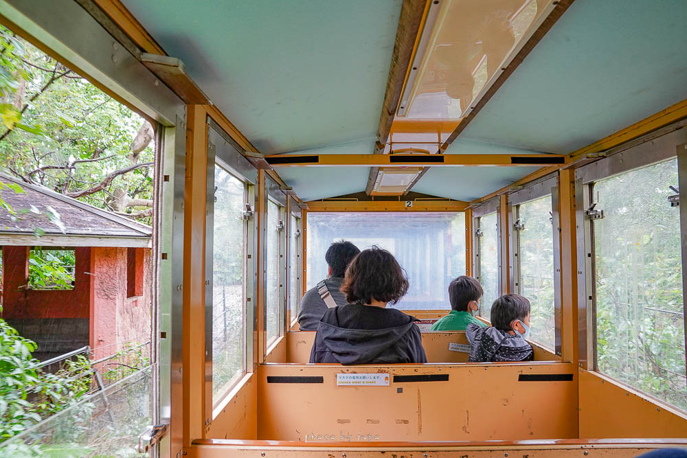 沖繩親子景點》名護自然動植物公園，復古小火車遊動物園，必看浣熊餵食秀、門票收費、小火車時刻表