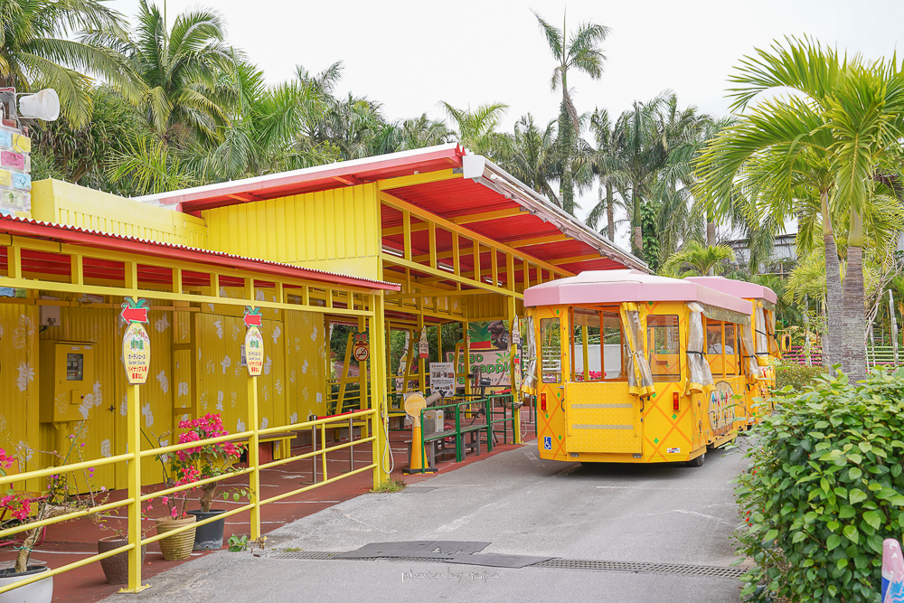 沖繩景點》名護鳳梨園，全新打造鳳梨園區、超可愛無人鳳梨車，雨天備案景點