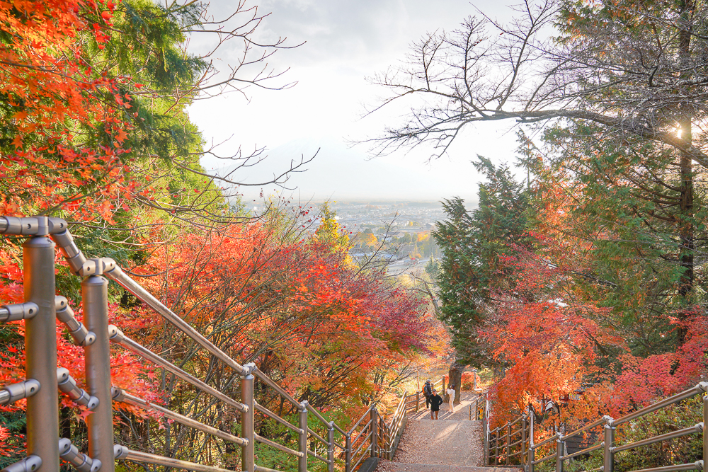 日本河口湖景點》新倉富士淺間神社，爬上400階梯就可以看到的五重塔富士山、停車場、最佳拍攝建議時間