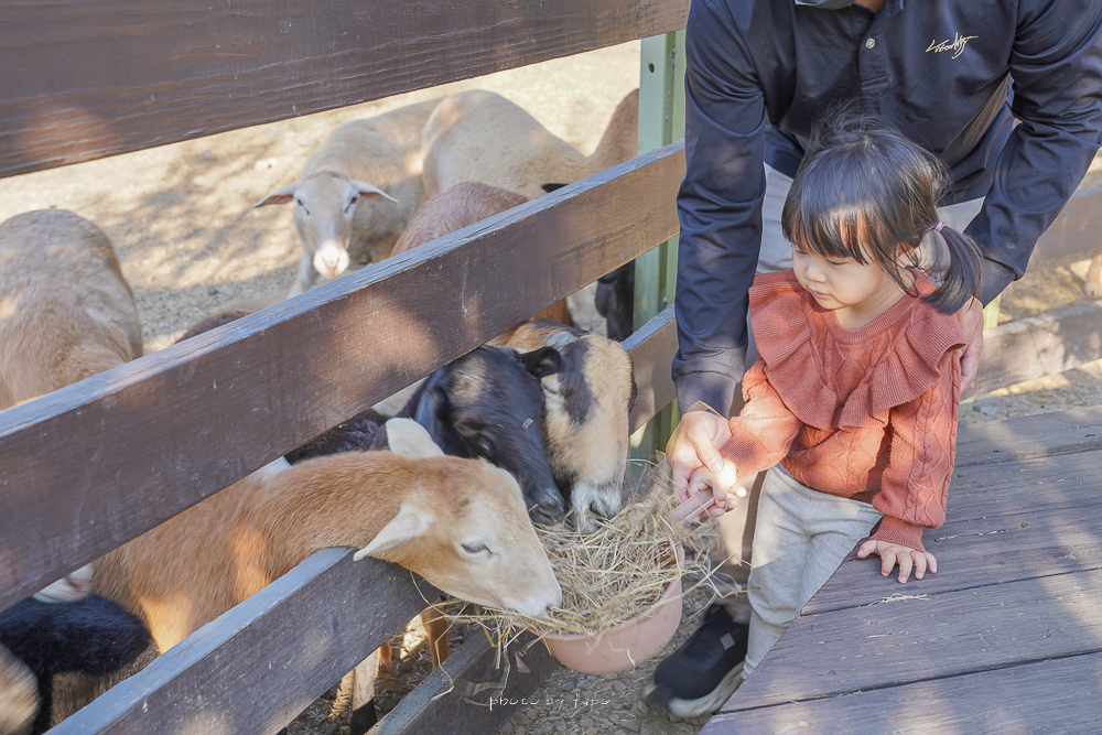 延伸閱讀：彰化牧場》羊舍鮮羊乳農場，免費開放參觀、餵羊咩咩吃牧草、冰淇淋羊奶門市