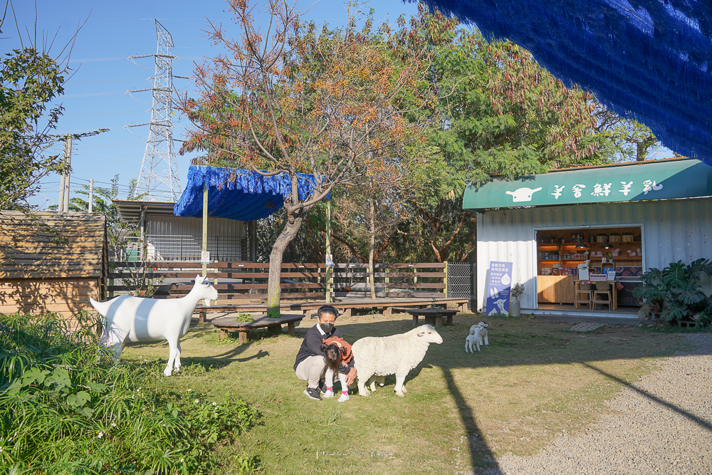 彰化牧場》羊舍鮮羊乳農場，免費開放參觀、餵羊咩咩吃牧草、冰淇淋羊奶門市