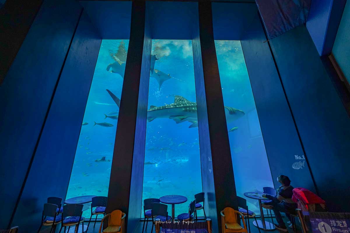 2023沖繩景點【美麗海水族館】最新攻略介紹，便宜門票優惠、鯨鯊餐廳、表演時間