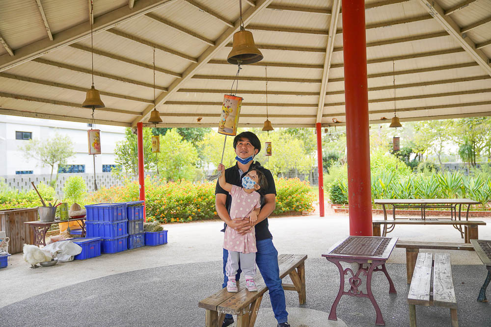 嘉義景點》新港香藝文化園區，免門票美拍紅色波波香腳、看老師傅製香，還可以餵魚看梅花鹿