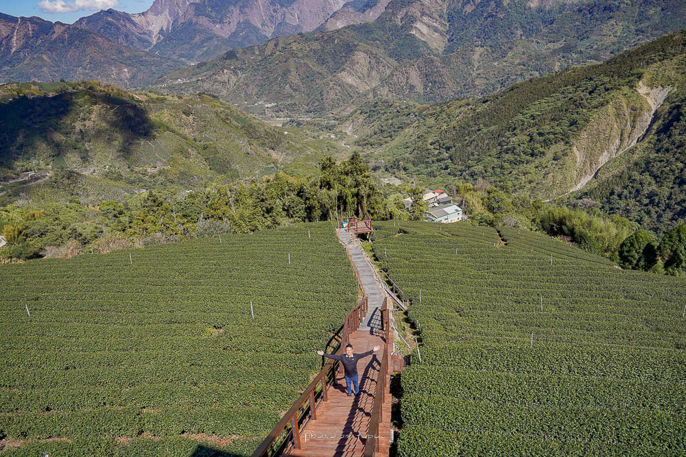 阿里山景點|巃仔尾步道|5分鐘即抵達上帝視角茶園步道,綿延山脈景致超美 @小腹婆大世界