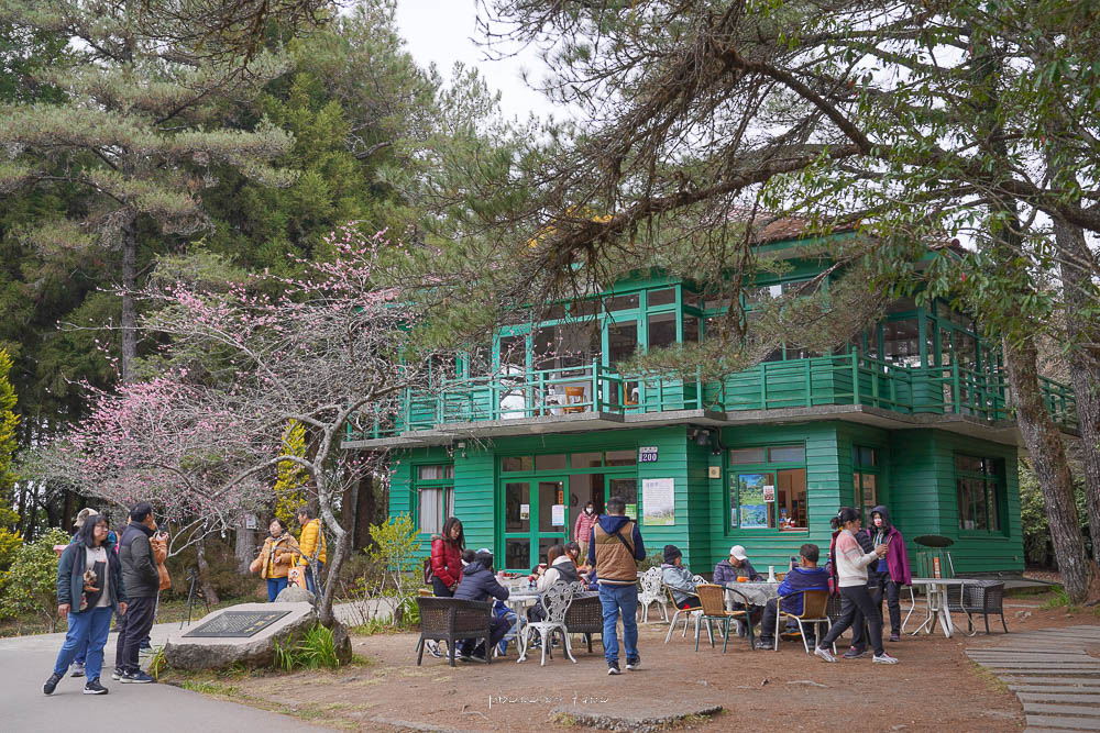 福壽山農場天池達觀亭|滿滿芬多精的天然湖泊,達觀亭喝咖啡,觀星秘境