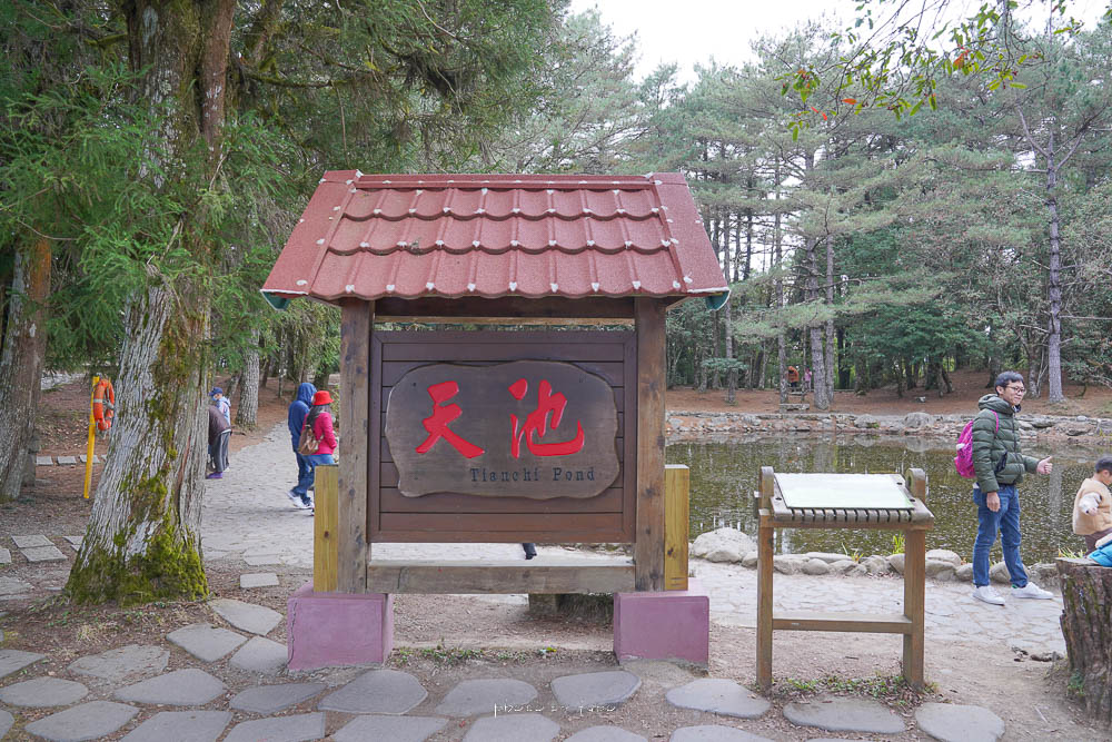 福壽山農場天池達觀亭|滿滿芬多精的天然湖泊,達觀亭喝咖啡,觀星秘境