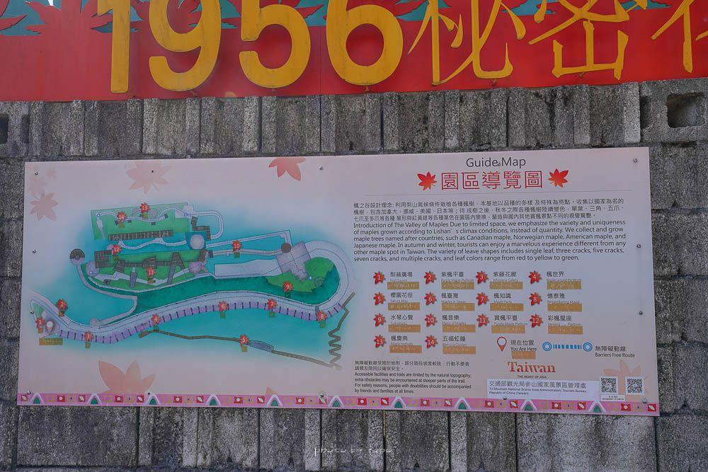 梨山景點|楓之谷1956秘密花園|梨山賞楓步道,巨大水果