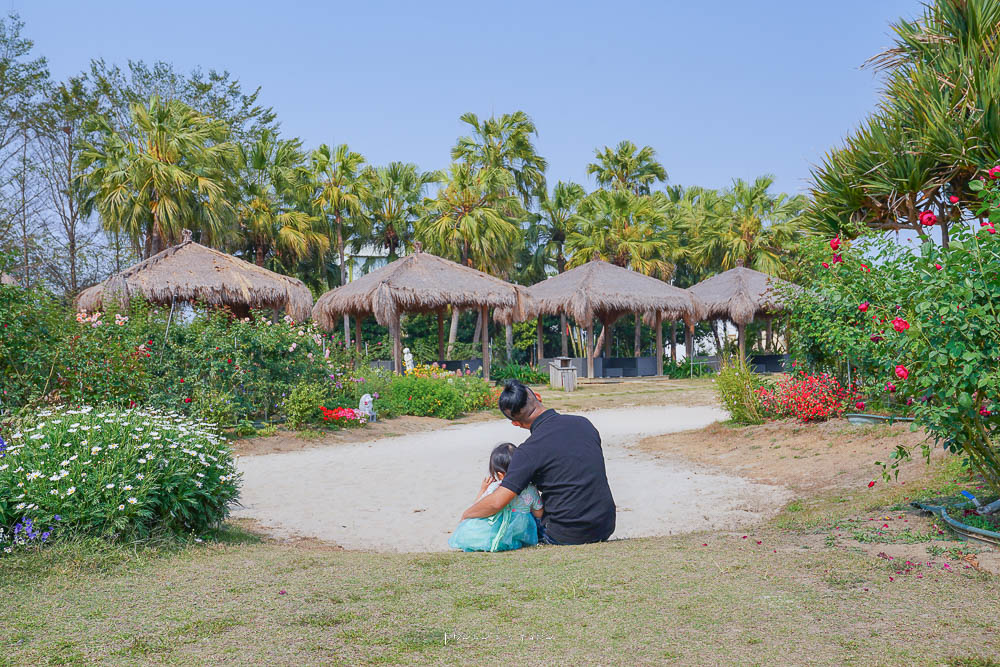 雲林斗六|雅聞峇里海岸觀光工廠,2023玫瑰花季萬花齊放,發呆亭,峇里島沙灘