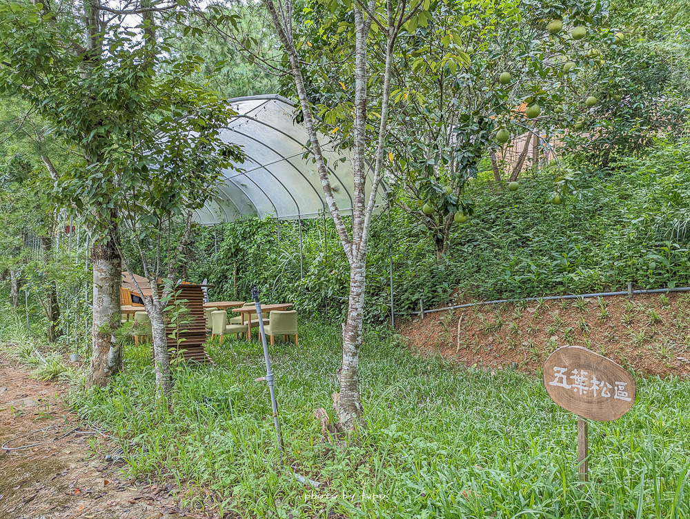 南投埔里最新「葉子秘境」佔地1.2萬坪森林系Villa，門口就可以看到鴨鴨的溪流房、最新戲水池