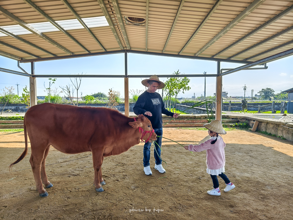 宜蘭景點「牛頭司親子體驗農場」可以近距離接近牛的農場,牽牛散步,復古童玩