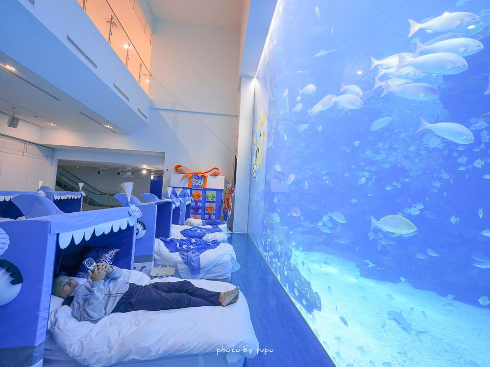 全台最新Xpark夜探體驗「Blu Night宿海奇遇」一泊四食心得老實說,魟魚陪你睡,2024最新行程活動分享 @小腹婆大世界