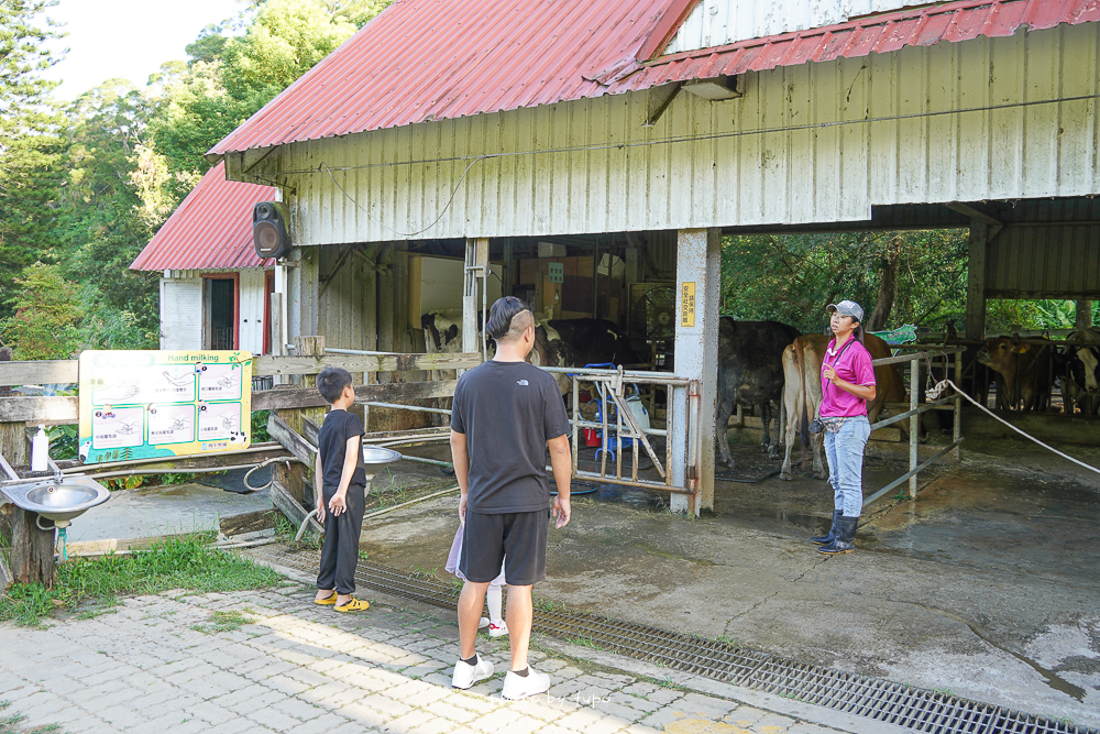 最新「苗栗飛牛牧場住宿」滿版森林系住宿優缺點、一泊二食再送DIY、必吃必玩推薦