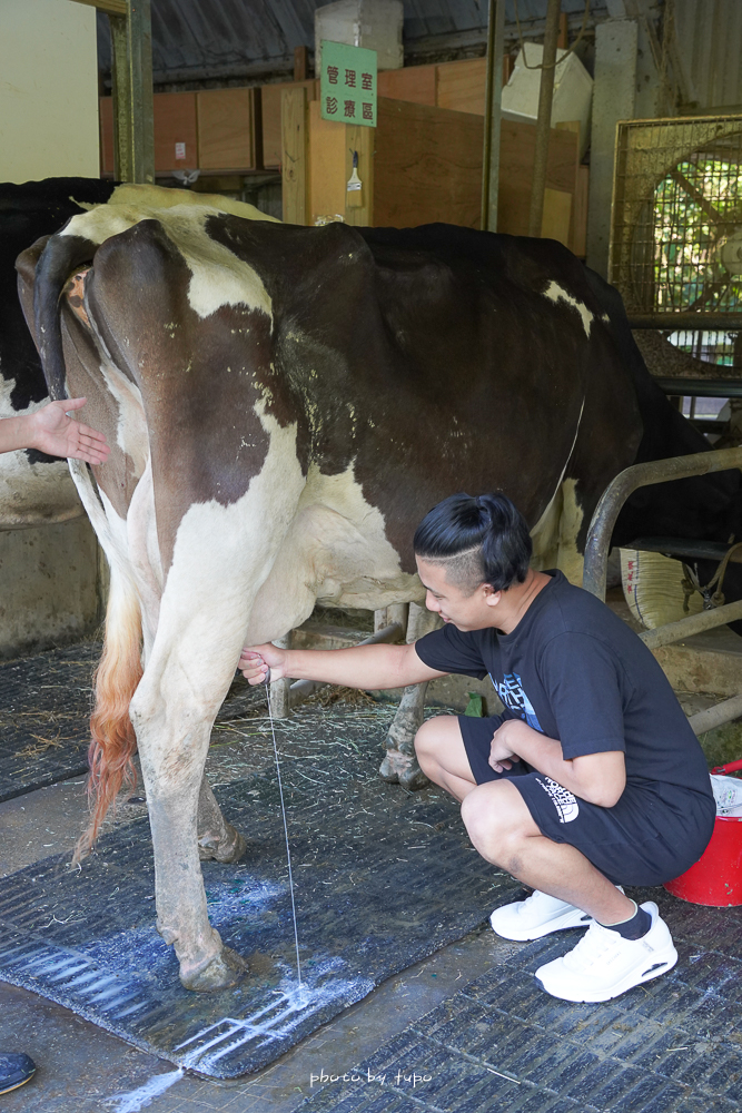 最新「苗栗飛牛牧場住宿」滿版森林系住宿優缺點、一泊二食再送DIY、必吃必玩推薦