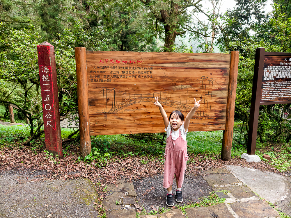 【南投溪頭住宿推薦】溪頭福華渡假飯店,住進森林裡滿版星空飯店,含夜間飛鼠導覽＆五感DIY活動