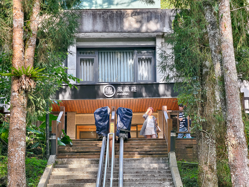 【南投溪頭住宿推薦】溪頭福華渡假飯店,住進森林裡滿版星空飯店,含夜間飛鼠導覽＆五感DIY活動