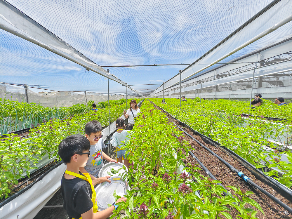 彰化玩水烤肉景點》樂採果溫室農場開園囉!超好玩的農場樂園,最新小小農夫DIY.划船玩水.炸物拼盤.玩到不想回家！