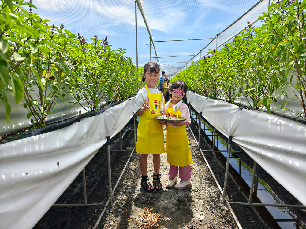 彰化玩水烤肉景點》樂採果溫室農場開園囉!超好玩的農場樂園,最新小小農夫DIY.划船玩水.炸物拼盤.玩到不想回家！