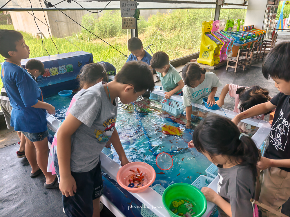 彰化玩水烤肉景點》樂採果溫室農場開園囉!超好玩的農場樂園,最新小小農夫DIY.划船玩水.炸物拼盤.玩到不想回家！