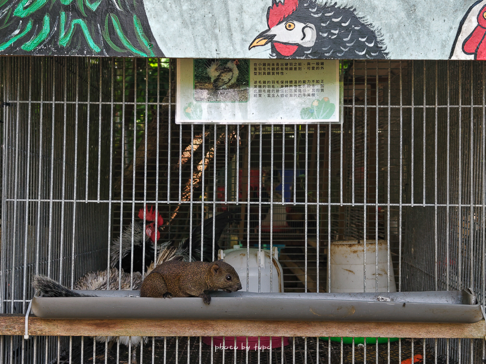 墾丁悠活渡假村｜全包式渡假飯店、有漂漂河滑水道、兒童遊戲區的飯店，早餐可以吃到12:00！