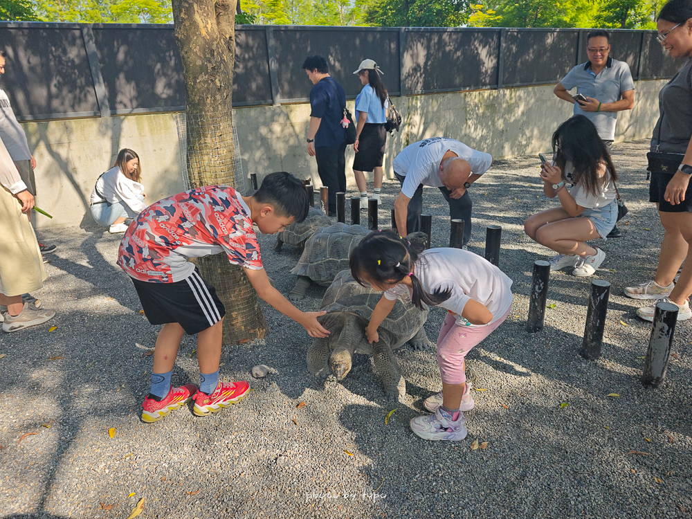2025宜蘭三星「樹懶餐廳萌寵樂園」玩樂攻略！五大亮點門票餐點DIY推薦