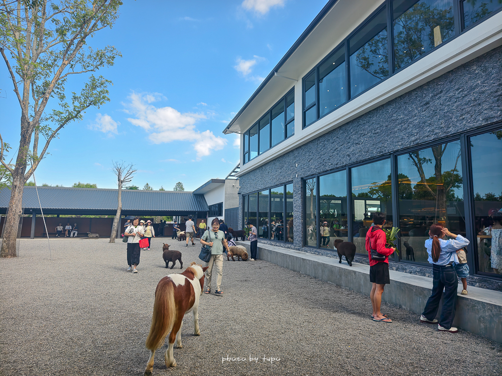 2025宜蘭三星「樹懶餐廳萌寵樂園」玩樂攻略！五大亮點門票餐點DIY推薦