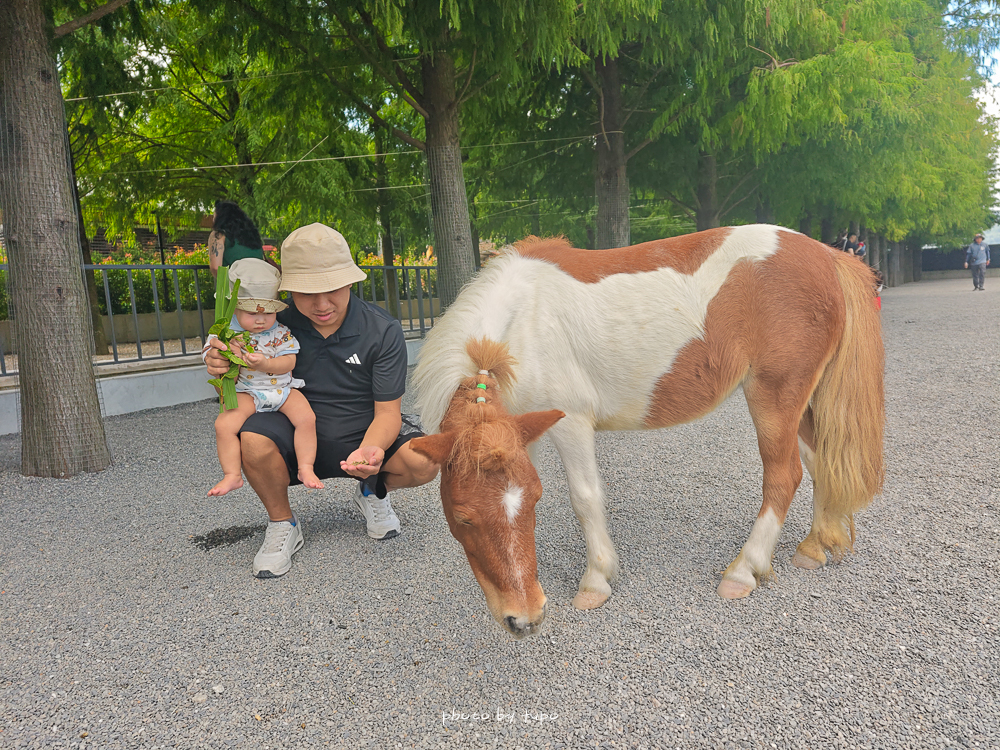 2025宜蘭三星「樹懶餐廳萌寵樂園」玩樂攻略！五大亮點門票餐點DIY推薦