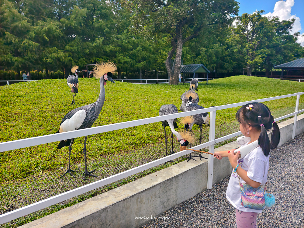 2025宜蘭三星「樹懶餐廳萌寵樂園」玩樂攻略！五大亮點門票餐點DIY推薦