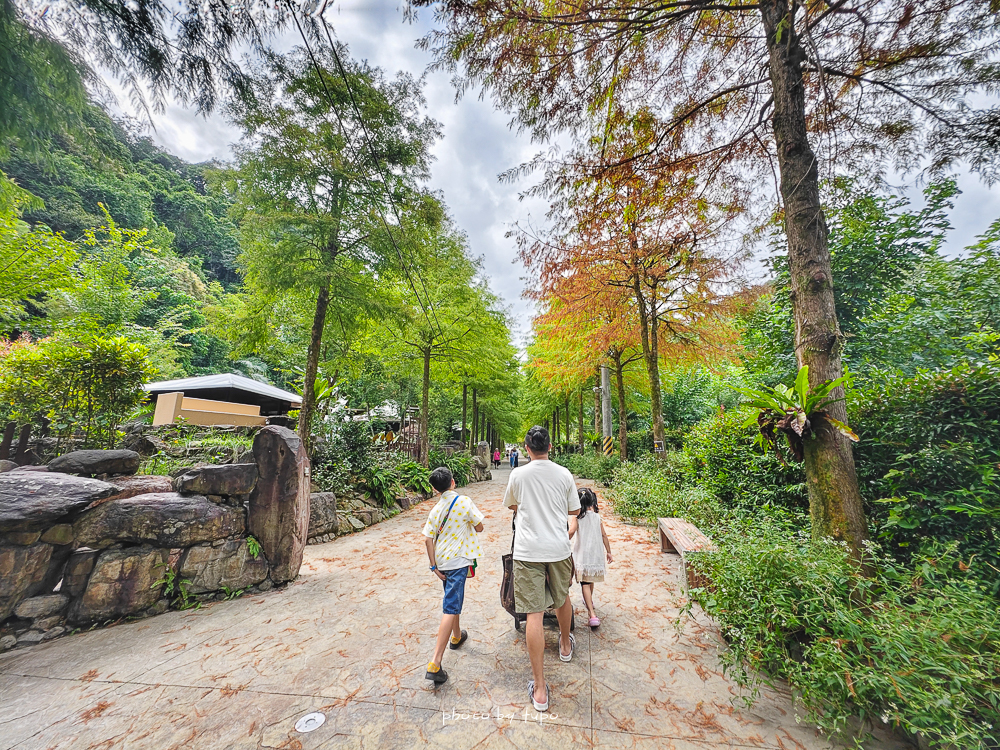 美暈!宜蘭【鳳梨屋水上莊園】水上森林住宿,房間開門可餵魚、最新動物區、還能體驗水桶划船! 美暈!宜蘭【鳳梨屋水上莊園】水上森林住宿,房間開門可餵魚、最新動物區、還能體驗水桶划船!