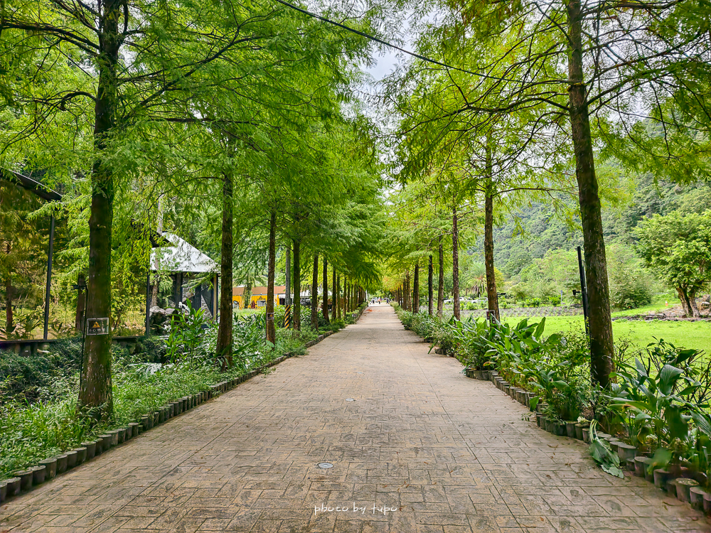 美暈!宜蘭【鳳梨屋水上莊園】水上森林住宿,房間開門可餵魚、最新動物區、還能體驗水桶划船! 美暈!宜蘭【鳳梨屋水上莊園】水上森林住宿,房間開門可餵魚、最新動物區、還能體驗水桶划船!