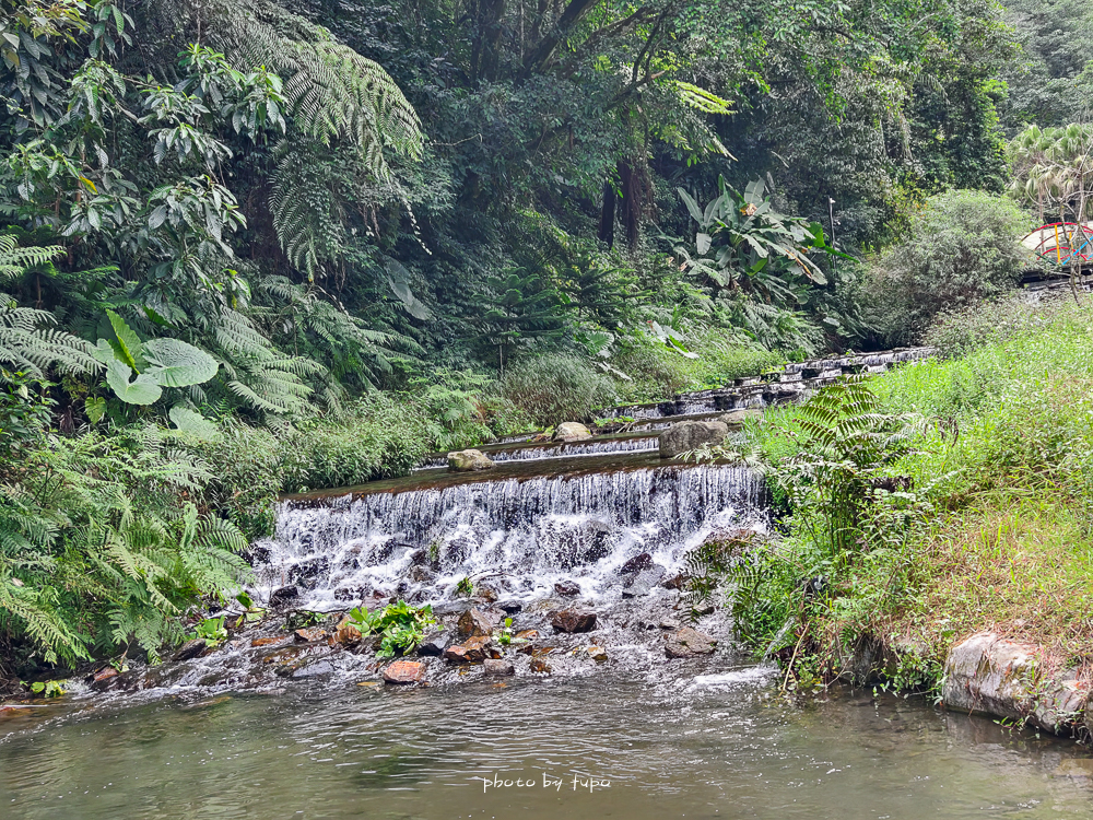 美暈!宜蘭【鳳梨屋水上莊園】水上森林住宿,房間開門可餵魚、最新動物區、還能體驗水桶划船! 美暈!宜蘭【鳳梨屋水上莊園】水上森林住宿,房間開門可餵魚、最新動物區、還能體驗水桶划船!