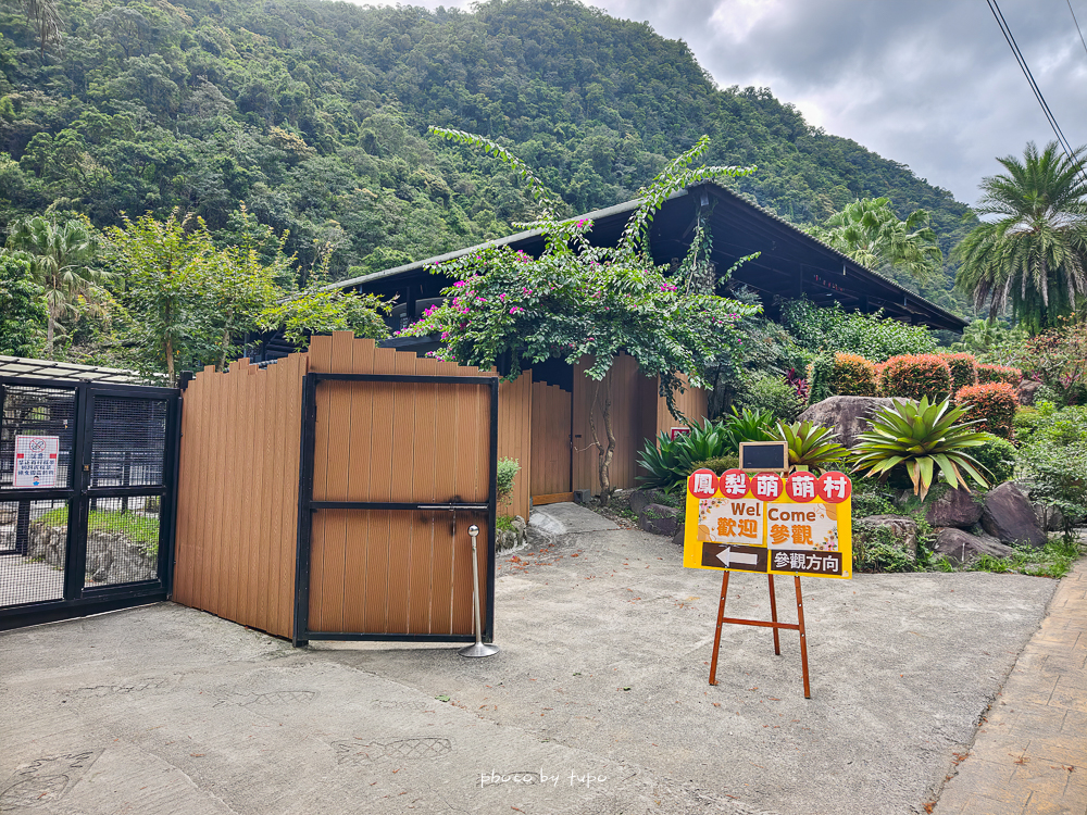 美暈!宜蘭【鳳梨屋水上莊園】水上森林住宿,房間開門可餵魚、最新動物區、還能體驗水桶划船! 美暈!宜蘭【鳳梨屋水上莊園】水上森林住宿,房間開門可餵魚、最新動物區、還能體驗水桶划船!