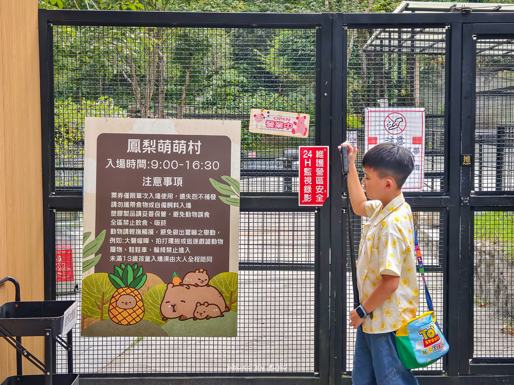 美暈!宜蘭【鳳梨屋水上莊園】水上森林住宿,房間開門可餵魚、最新動物區、還能體驗水桶划船! 美暈!宜蘭【鳳梨屋水上莊園】水上森林住宿,房間開門可餵魚、最新動物區、還能體驗水桶划船!