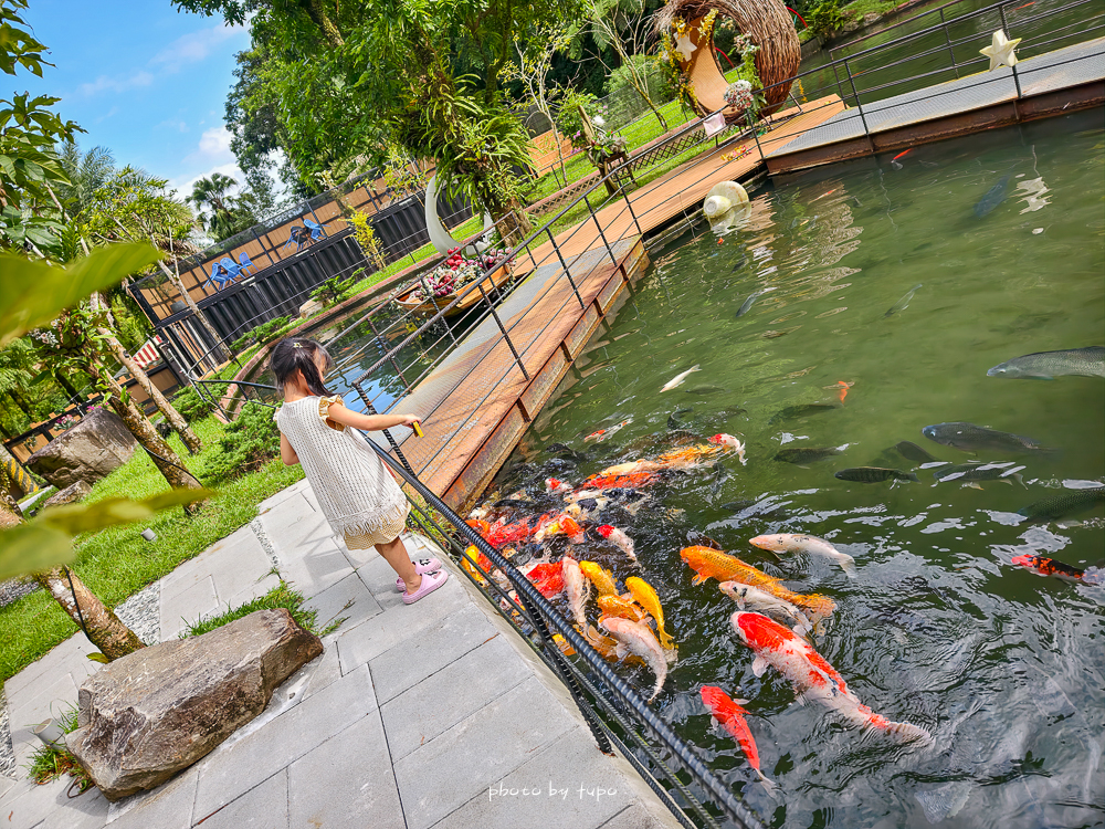 美暈!宜蘭【鳳梨屋水上莊園】水上森林住宿,房間開門可餵魚、最新動物區、還能體驗水桶划船! 美暈!宜蘭【鳳梨屋水上莊園】水上森林住宿,房間開門可餵魚、最新動物區、還能體驗水桶划船!