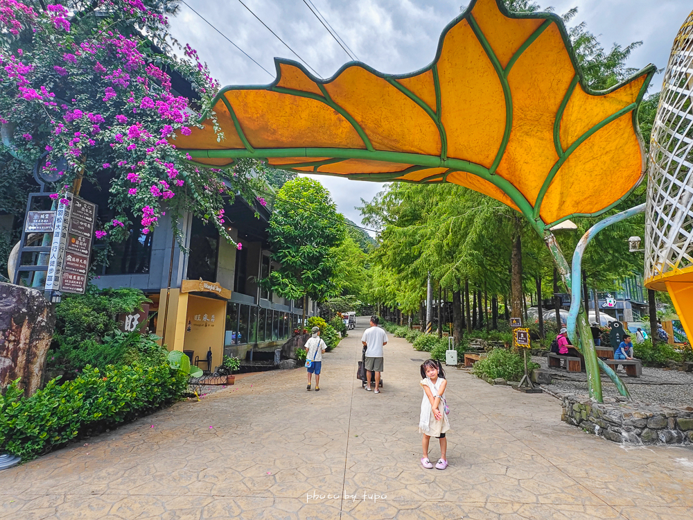 美暈!宜蘭【鳳梨屋水上莊園】水上森林住宿,房間開門可餵魚、最新動物區、還能體驗水桶划船! 美暈!宜蘭【鳳梨屋水上莊園】水上森林住宿,房間開門可餵魚、最新動物區、還能體驗水桶划船!