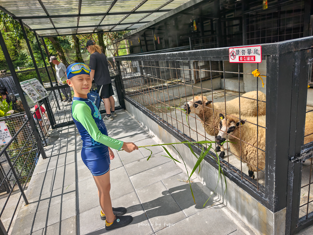 美暈!宜蘭【鳳梨屋水上莊園】水上森林住宿,房間開門可餵魚、最新動物區、還能體驗水桶划船! 美暈!宜蘭【鳳梨屋水上莊園】水上森林住宿,房間開門可餵魚、最新動物區、還能體驗水桶划船!