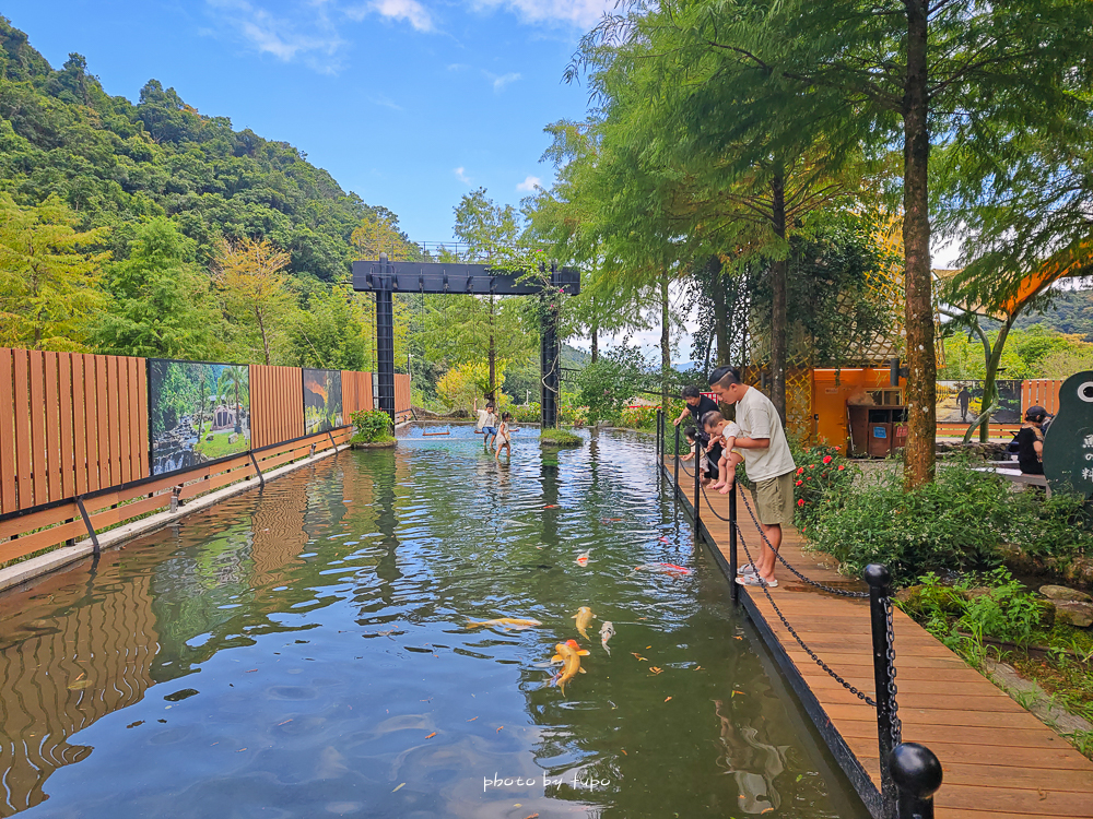 美暈!宜蘭【鳳梨屋水上莊園】水上森林住宿,房間開門可餵魚、最新動物區、還能體驗水桶划船! 美暈!宜蘭【鳳梨屋水上莊園】水上森林住宿,房間開門可餵魚、最新動物區、還能體驗水桶划船!