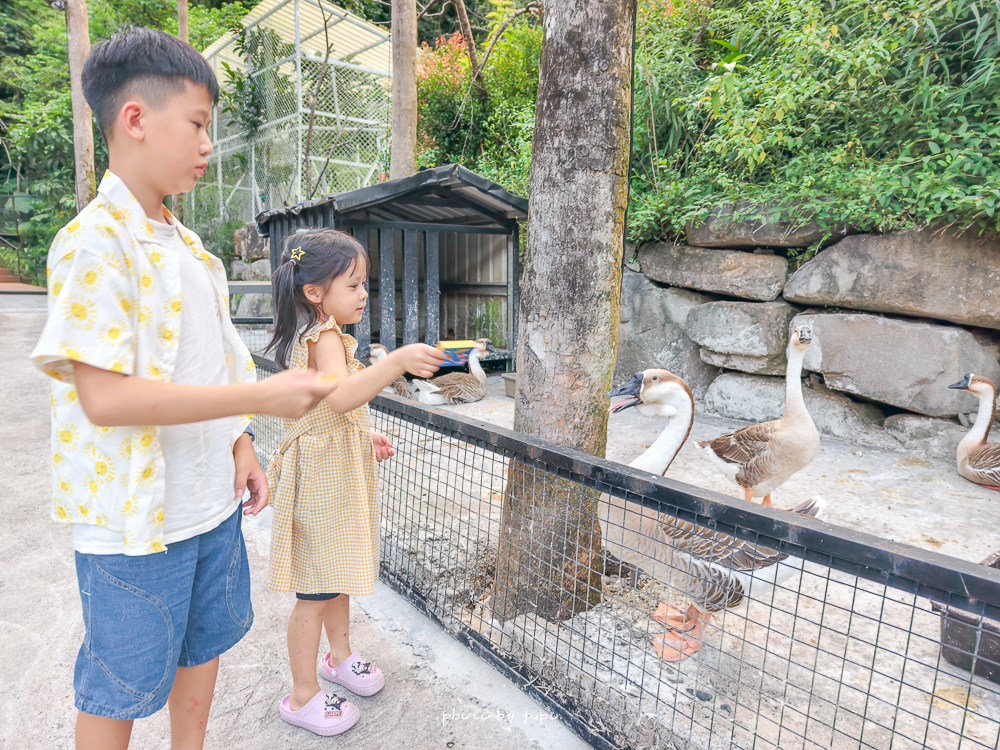 美暈!宜蘭【鳳梨屋水上莊園】水上森林住宿,房間開門可餵魚、最新動物區、還能體驗水桶划船! 美暈!宜蘭【鳳梨屋水上莊園】水上森林住宿,房間開門可餵魚、最新動物區、還能體驗水桶划船!