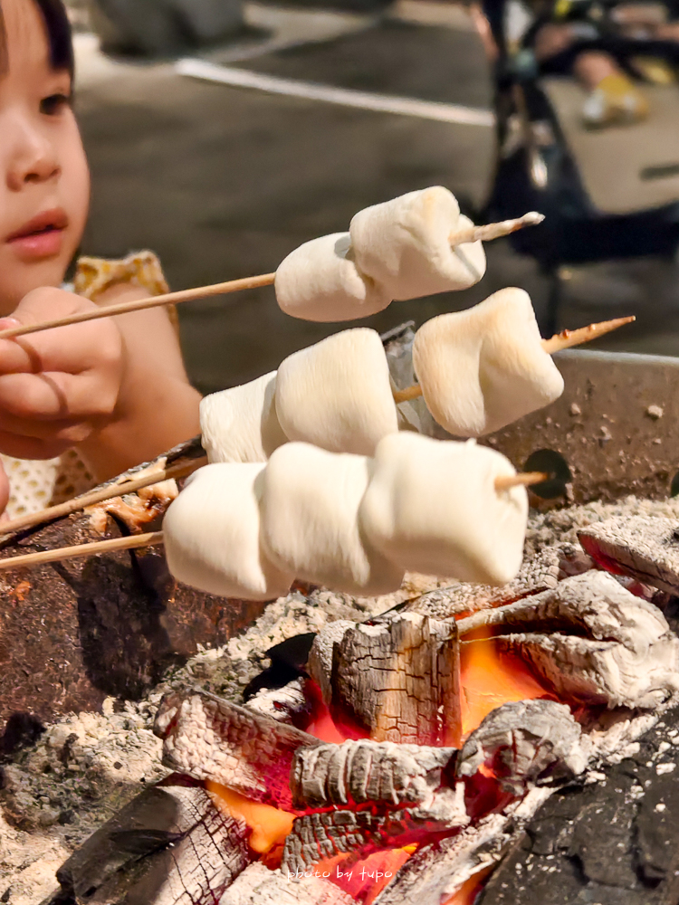 美暈！宜蘭【鳳梨屋水上莊園】水上森林住宿，房間開門可餵魚、最新動物區、還能體驗水桶划船！