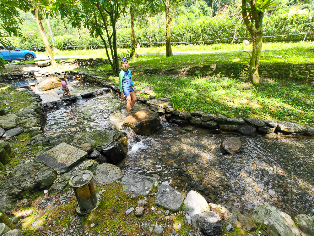 美暈！宜蘭【鳳梨屋水上莊園】水上森林住宿，房間開門可餵魚、最新動物區、還能體驗水桶划船！